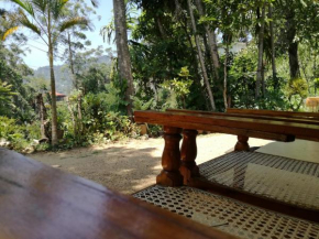 White Rose Guest Inn
